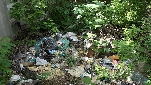 РЖД снова оштрафовали за грязь на станциях Серпухова