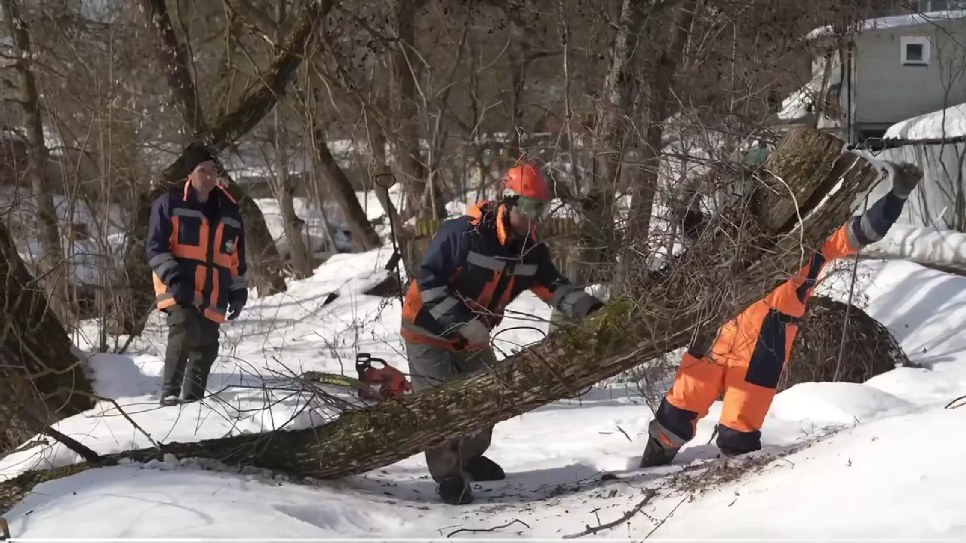 Фото: vk.com/Татьяна Витушева