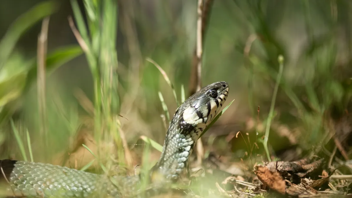 Фото: unsplash.com