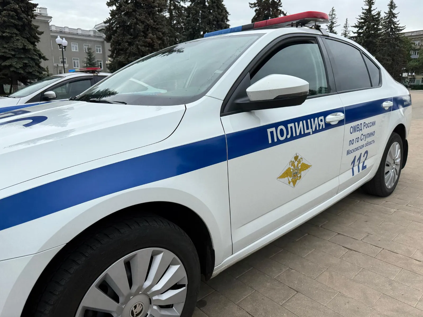 Фото: ОМВД России по г.о. Ступино