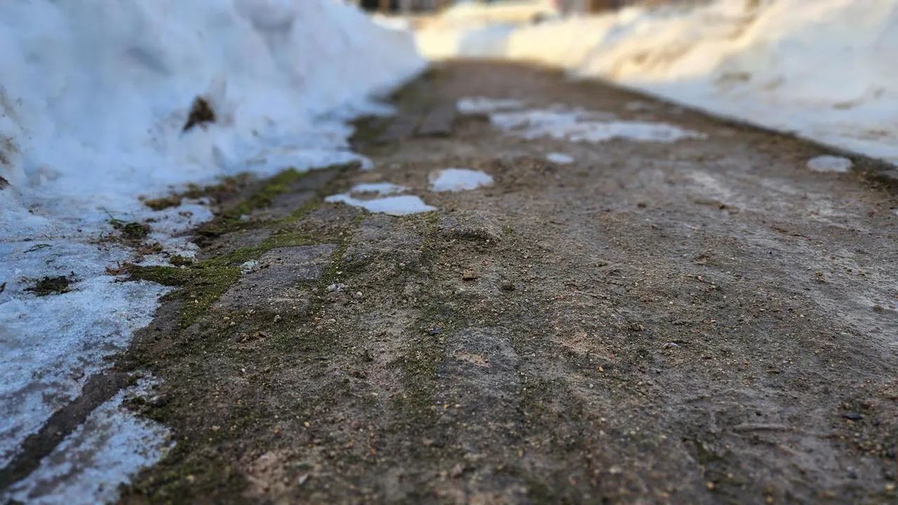 МедиаБанк Подмосковья/Екатерина Данилина