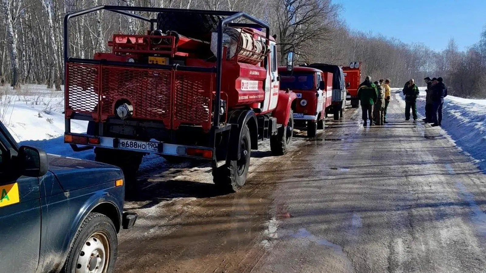 Фото: Комитет лесного хозяйства Московской области