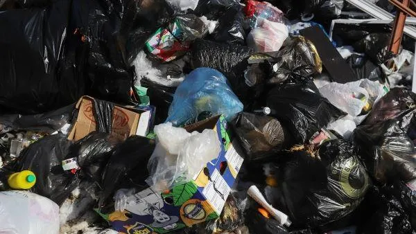 Штрафы за выброс мусора из транспортных средств могут увеличить в Подмосковье