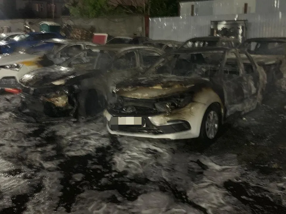 Фото: пресс-служба прокуратуры Московской области