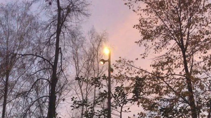 Фото: администрация г.о. Воскресенск