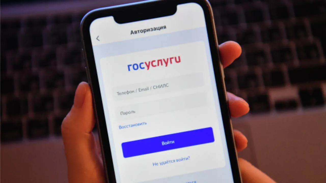 Услугу по аренде нескольких лесных участков оптимизировали в Подмосковье