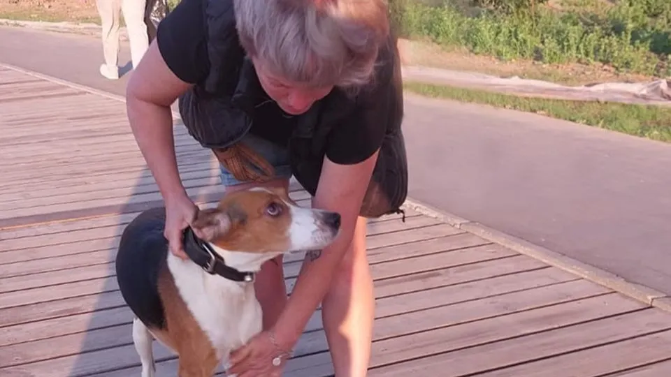 Фото: ГКУ МО «Мособлпожспас»