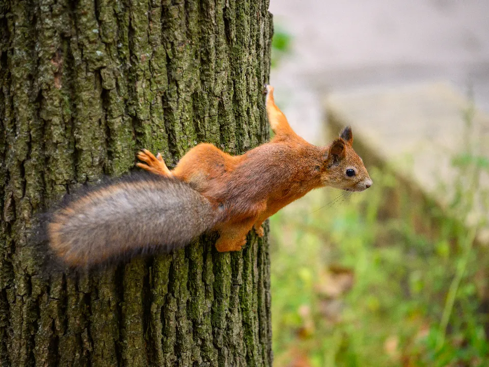 Фото: медиасток.рф