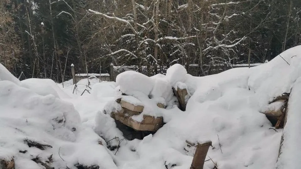 Фото: Министерство экологии и природопользования Московской области