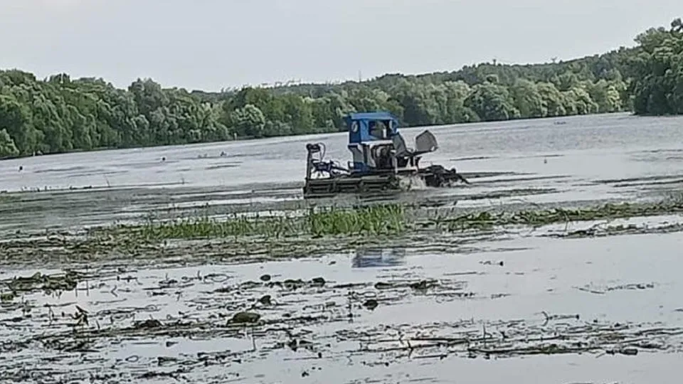 Фото: Министерство экологии и природопользования Московской области