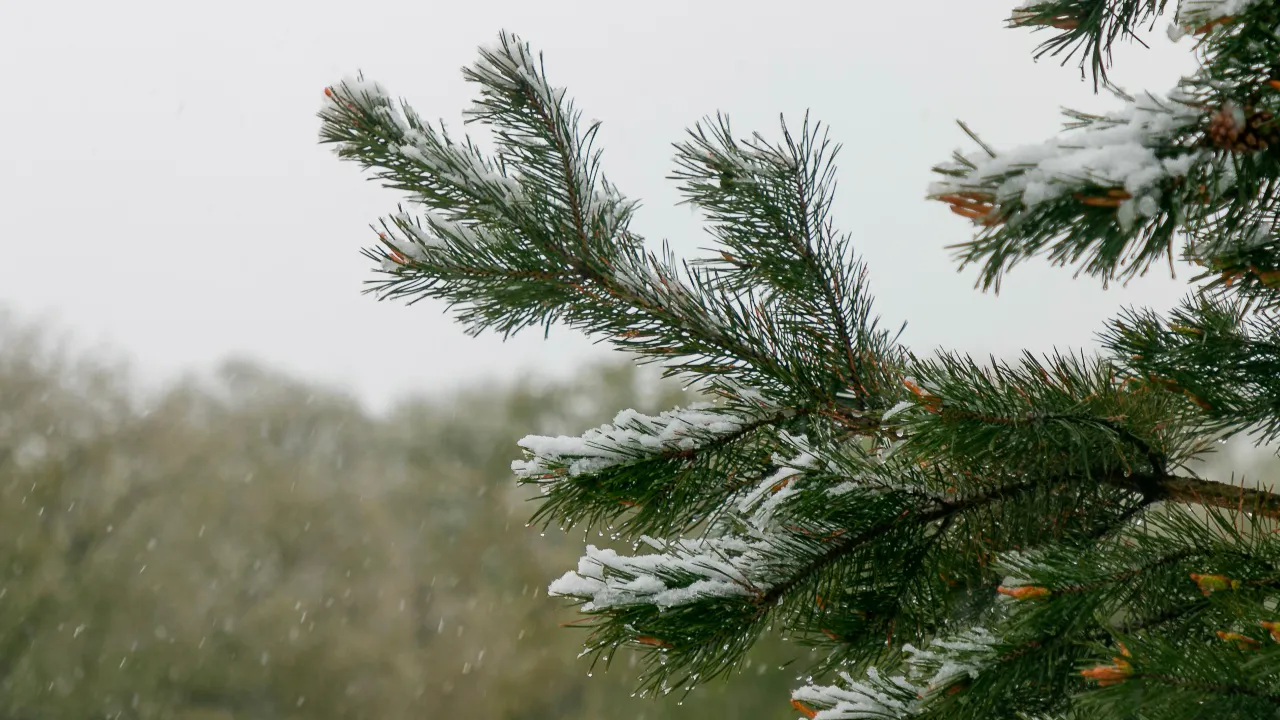 REGIONS/Евгений Мазепов