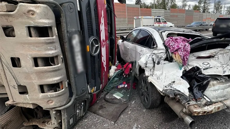 Фото: пресс-служба ГУ МВД России по Московской области