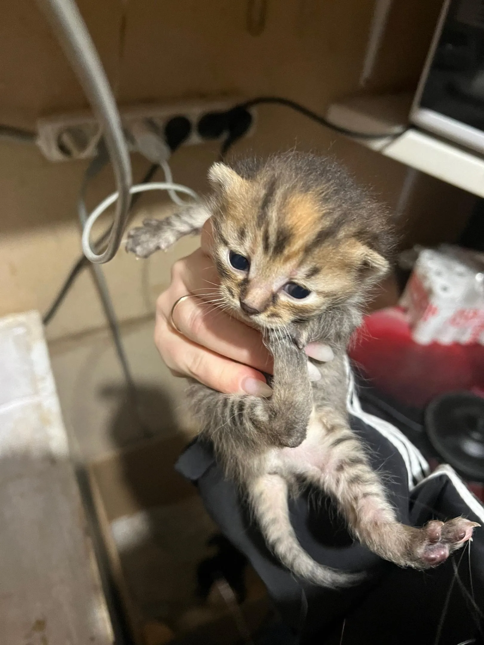 Фото: Подслушано на Глебовке (новая) / ВКонтакте