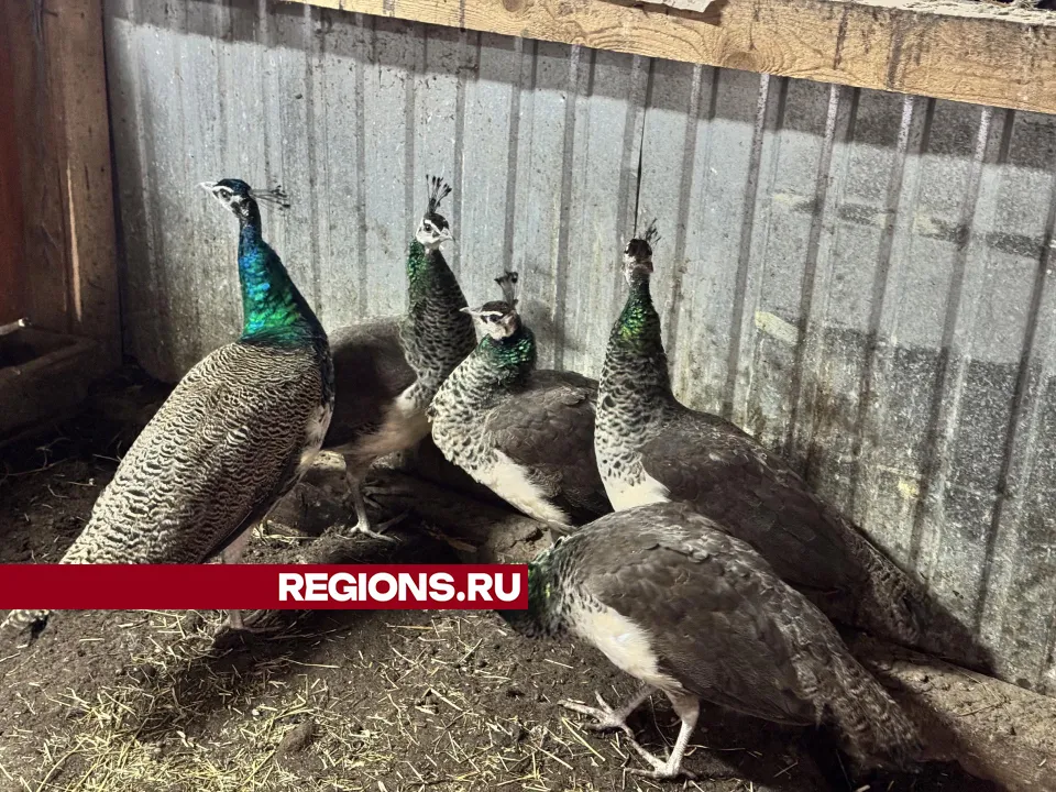 Фото: Татьяна Рунова