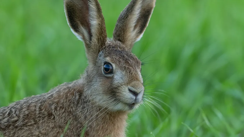 Фото: istockphoto.com