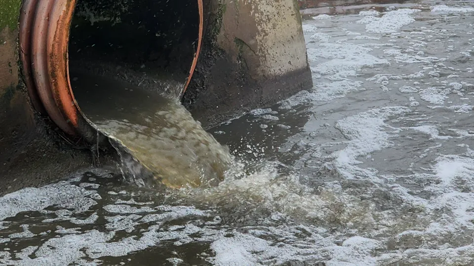 Фото: МедиаБанк Подмосковья/Никита Сморкалов