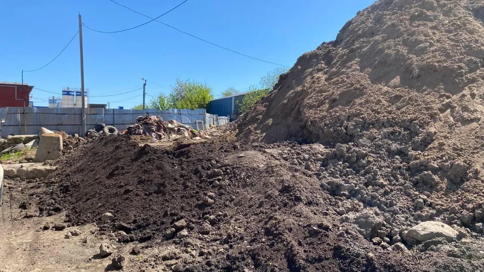 Фото: Министерство экологии и природопользования Московской области