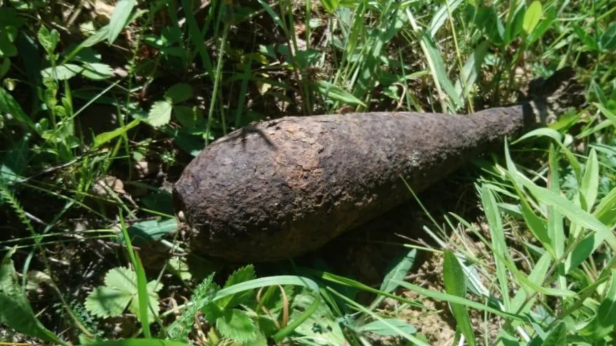 Фото: ГКУ МО «Мособлпожспас»