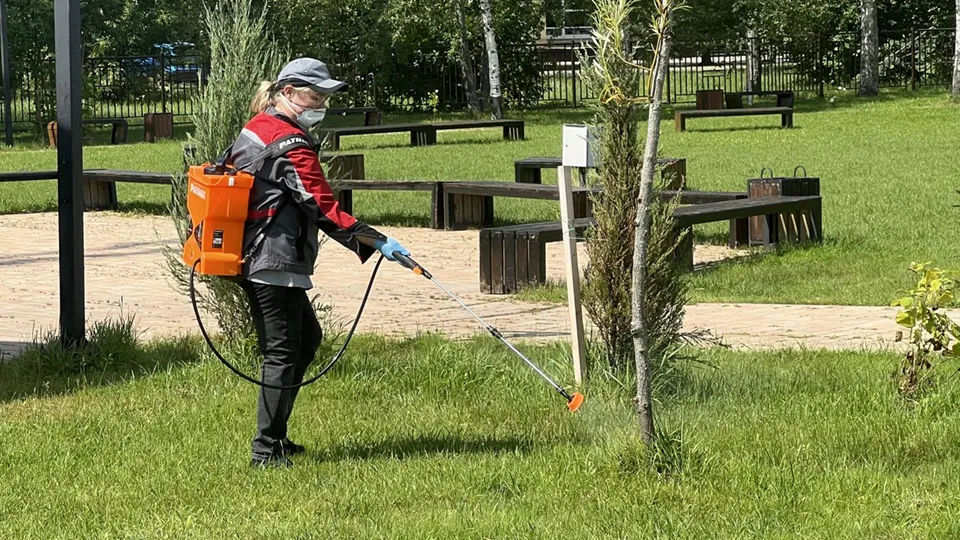 Фото: Аннета Юрасова