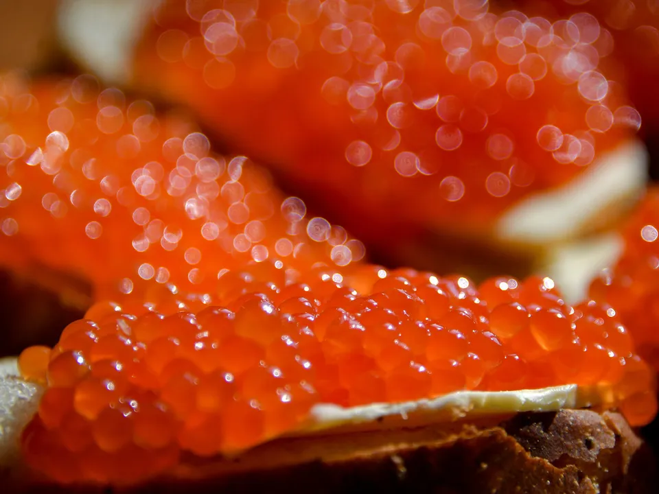 Фото: ТАСС/Юрий Смитюк