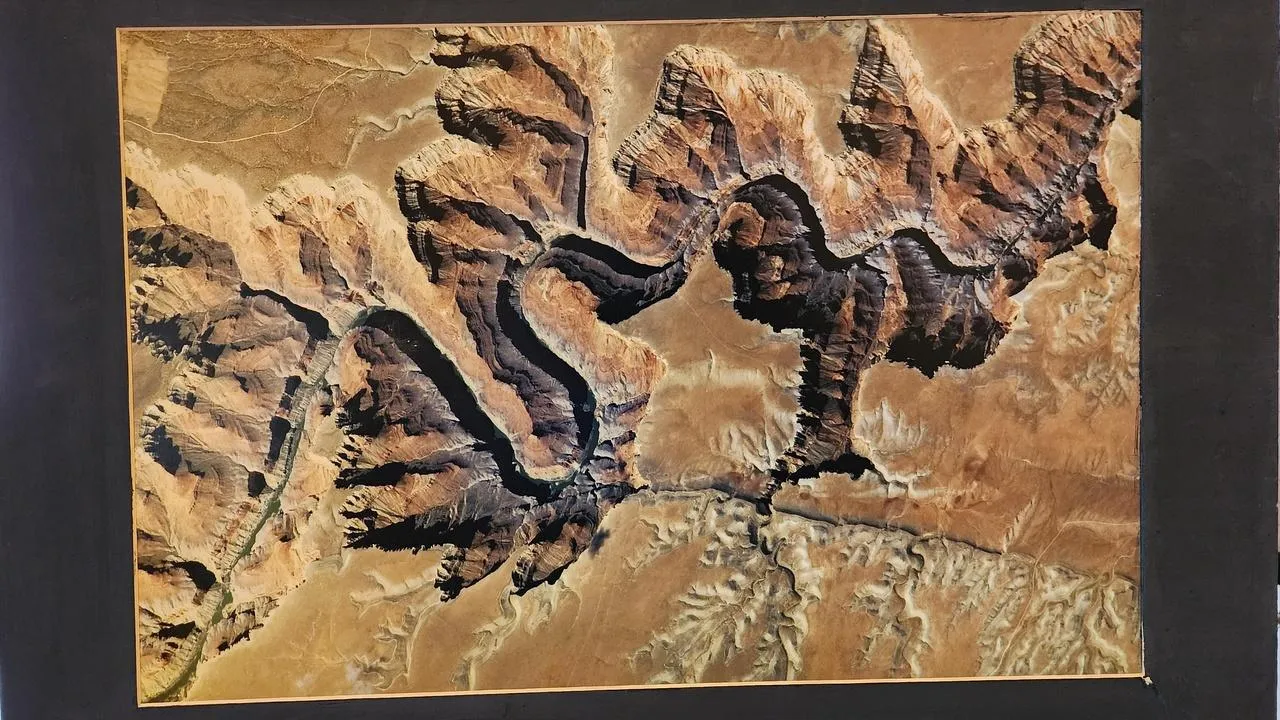 МедиаБанк Подмосковья/Ольга Шеметова