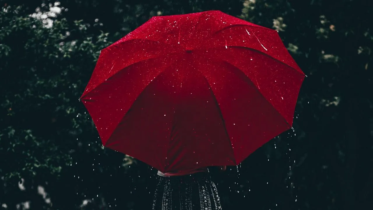 Unsplash