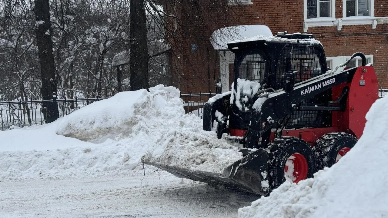 Полина Абраменко