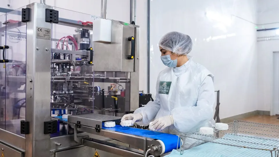 Фото: пресс-служба губернатора и правительства Московской области/Александра Степанова