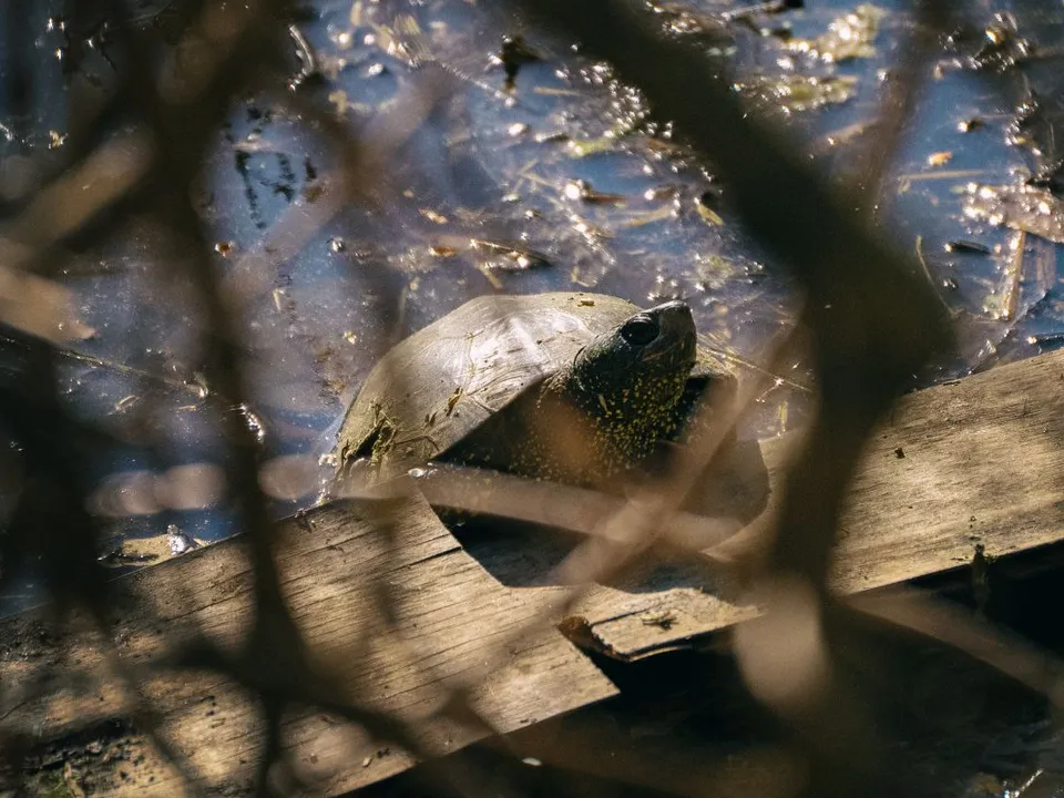 Фото: Дмитрий Блинков&nbsp;