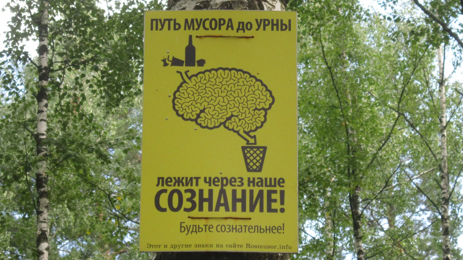 Фото: Олег Книжник