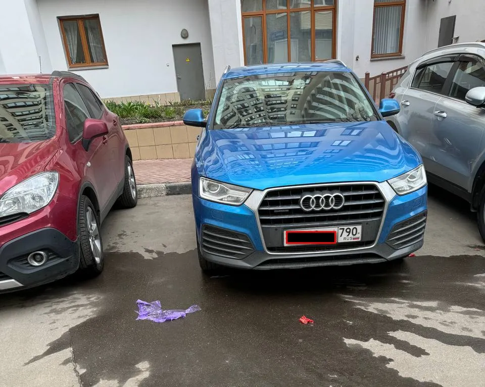 Фото: t.me/podmsk01_chat