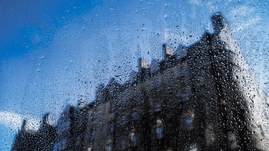 Фото: freepik.com