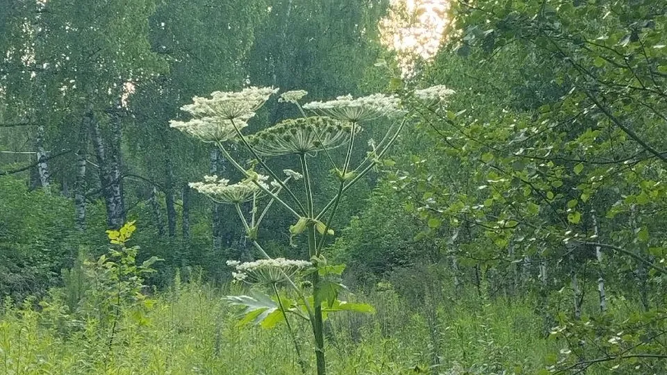 Фото: Ксения Пашуто