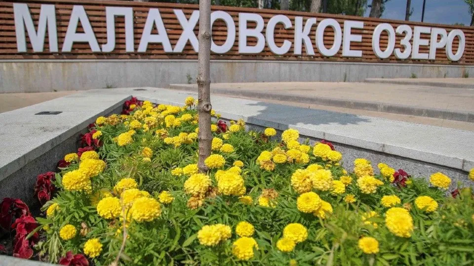 Фото: Министерство благоустройства Московской области