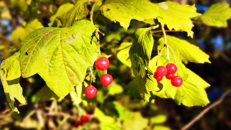 Фото: REGIONS/Алексей Селиверстов