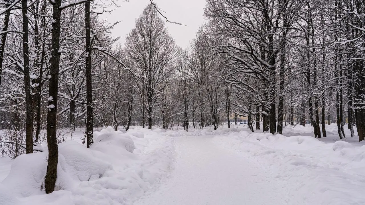 медиасток.рф