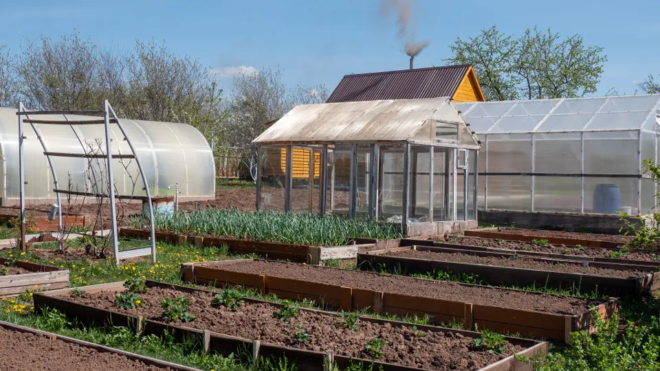 Фото: ТАСС/Оксана Король