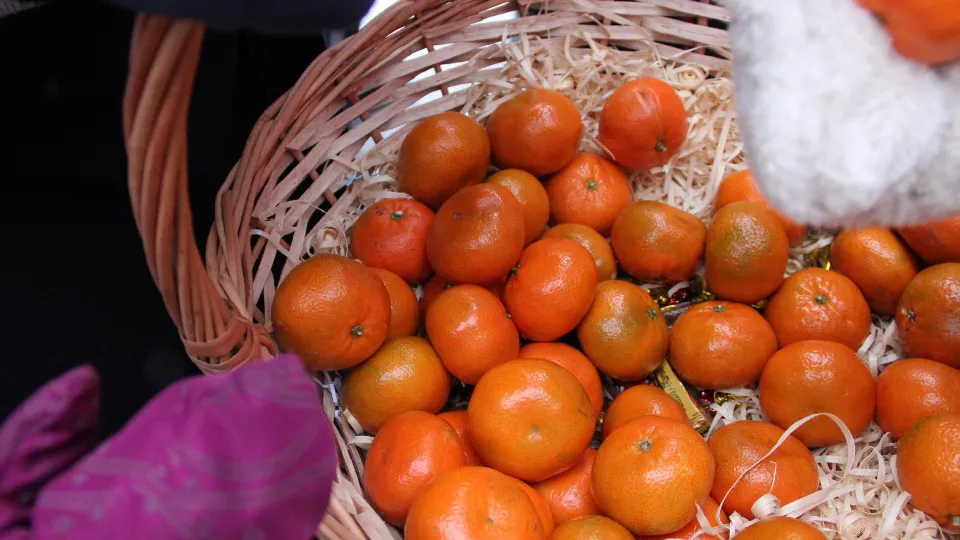 Фото: t.me/mbykrgoodpark