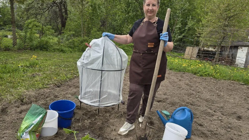 Фото: Яна Шаливская