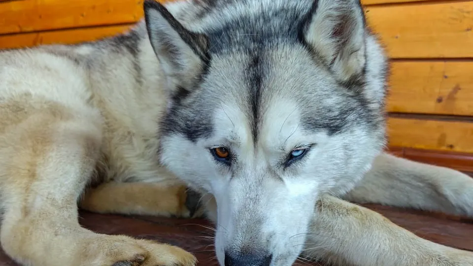 Фото: REGIONS/Максим Зубарев