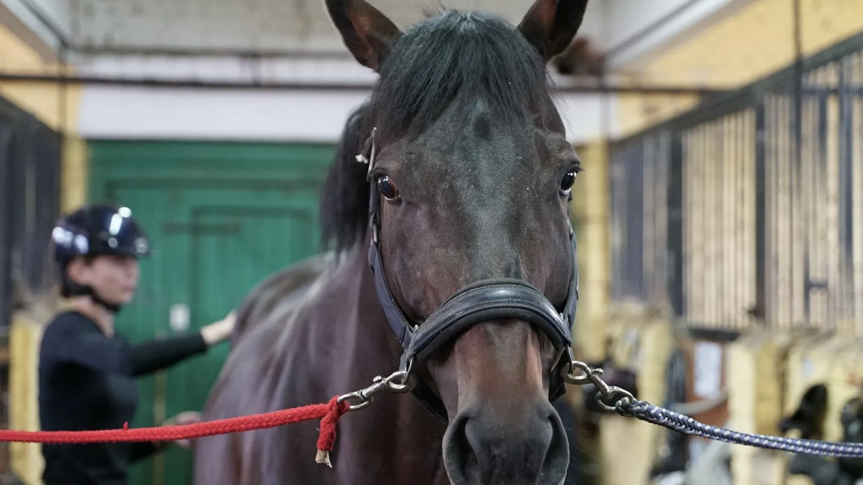 Фото: пресс-служба администрации г.о. Химки