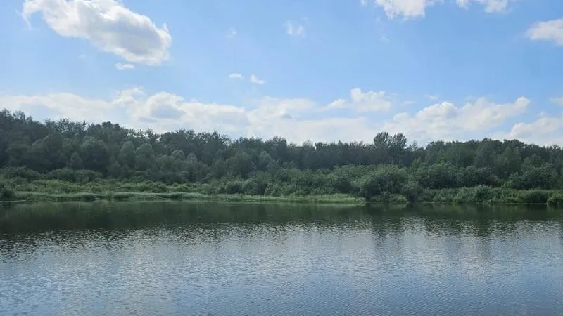 Минэкологии МО.