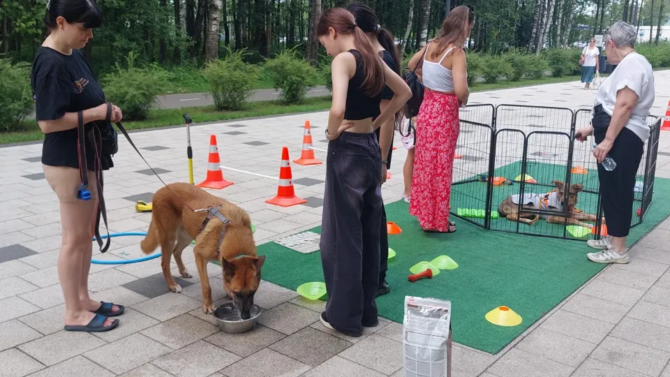 Фото: пресс-служба администрации г.о. Электросталь