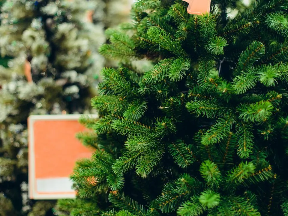 Врач Пятикова: большинство новогодних искусственных елей опасны для здоровья