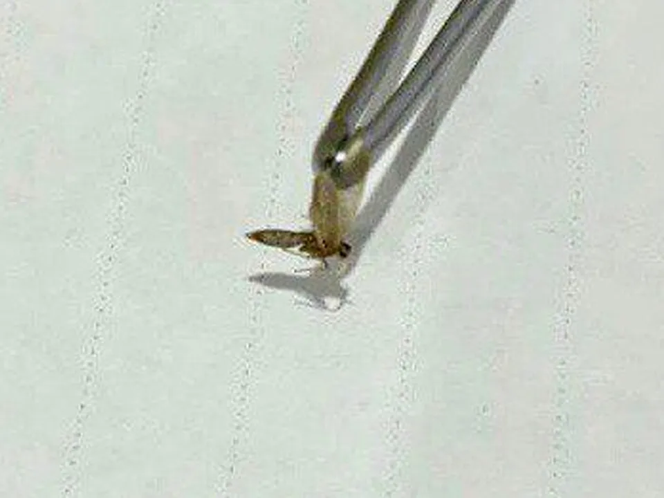 Фото: Видновская клиническая больница