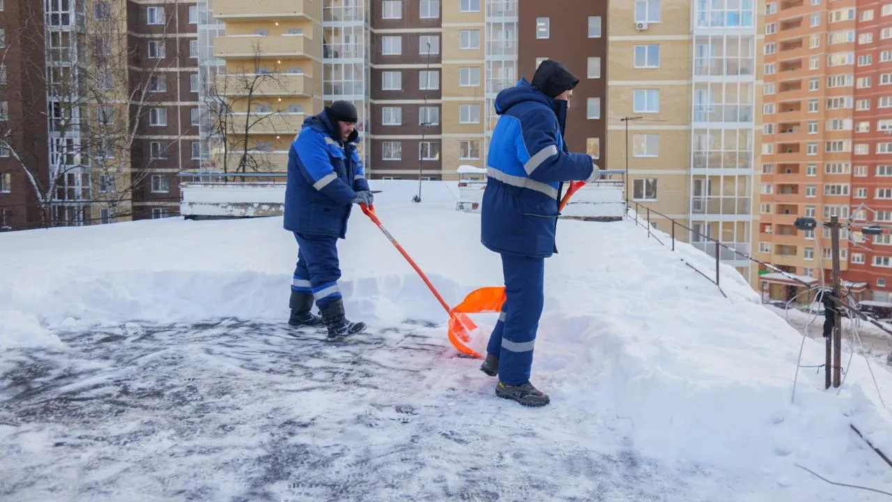 МедиаБанк Подмосковья/Александр Щербаков
