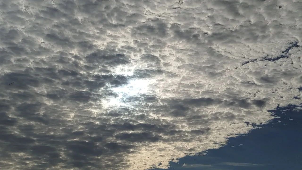 Фото: REGIONS/Елена Забелина