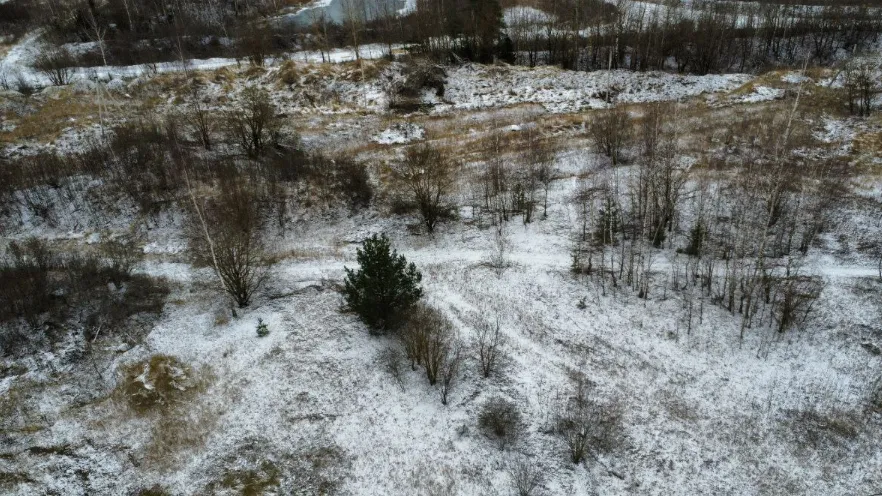 Комитет по конкурентной политике Московской области