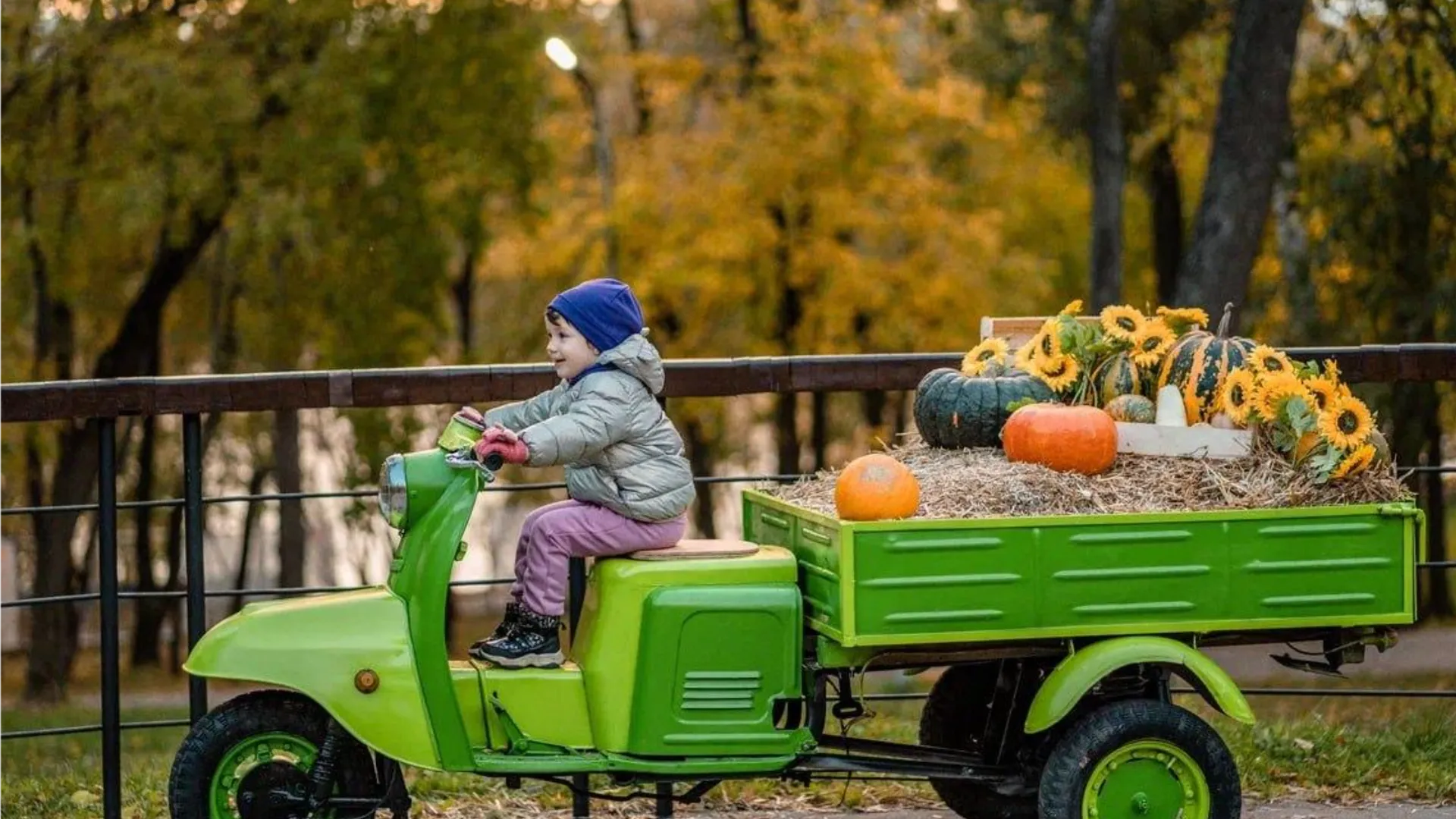 Фото: Алексей Гречушников
