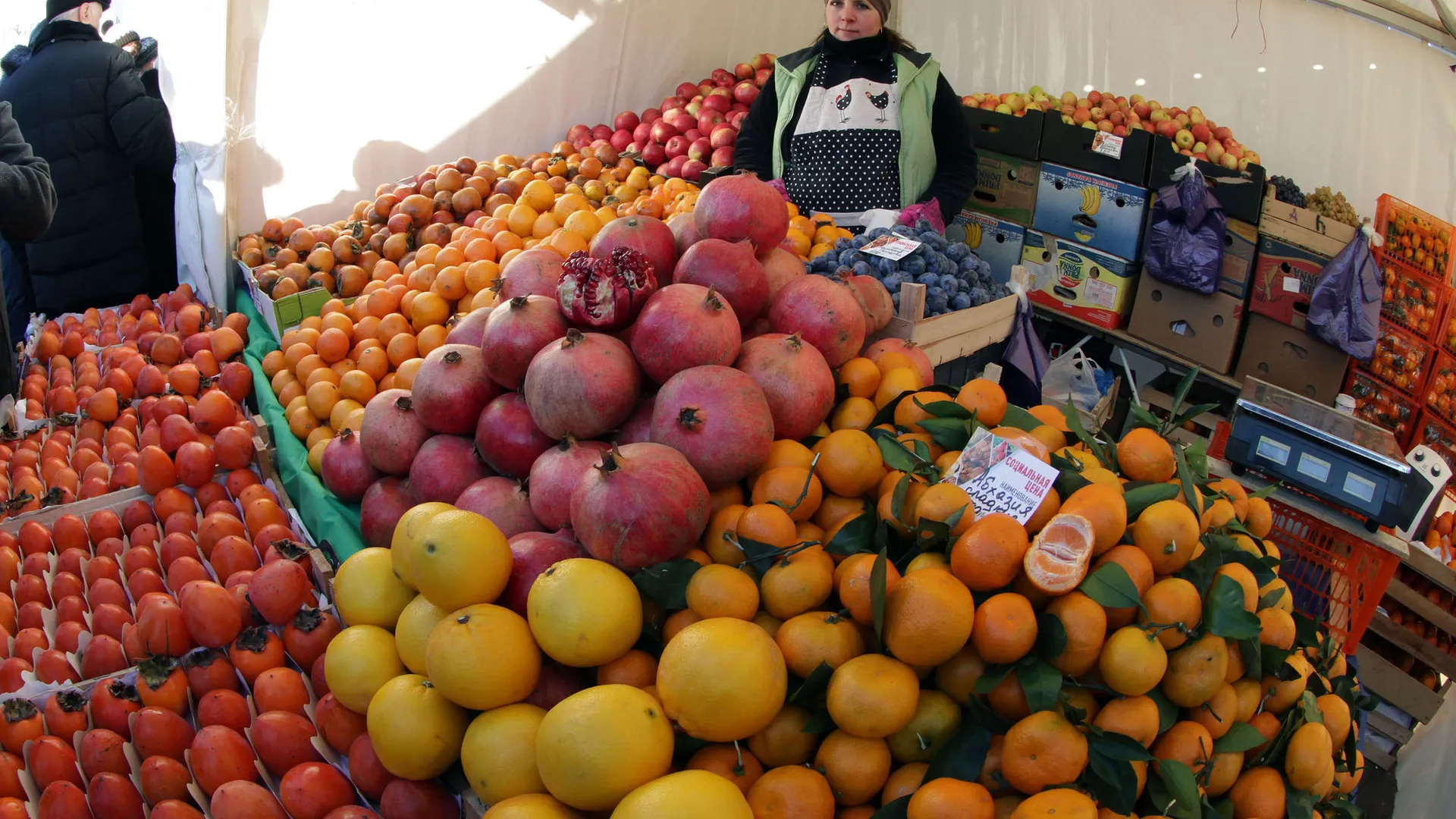 Продуктовая ярмарка «Ценопад» в Мытищах